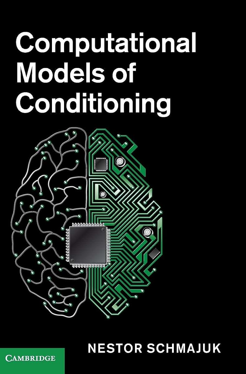 Computational Models of Conditioning