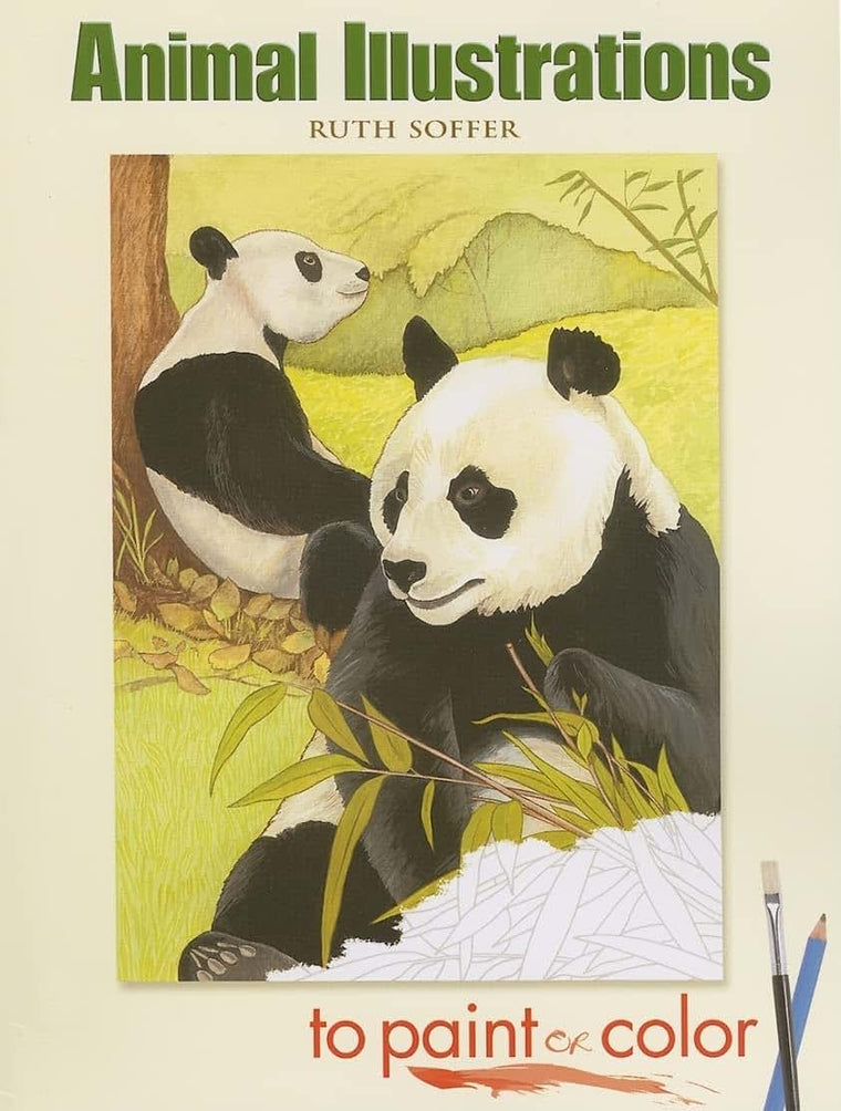Animal Illustrations to Paint or Color (Dover Animal Coloring Books)
