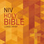 NIV, Outreach Bible, Large Print, Paperback