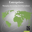 The Global Challenge for Multinational Enterprises: Managing Increasing Interdependence (International Business and Management, 5)