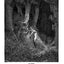 The Dore Illustrations for Dante's Divine Comedy (136 Plates by Gustave Dore)