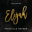 Elijah: Faith and Fire - Bible Study for Women