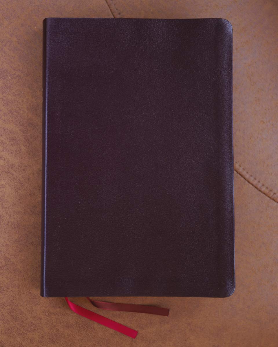NIV, Thinline Bible, Giant Print, Bonded Leather, Burgundy, Red Letter, Thumb Indexed, Comfort Print