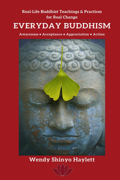 Everyday Buddhism: Real-Life Buddhist Teachings & Practices For Real Change
