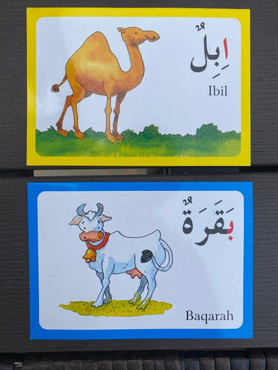 Arabic Alphabet Flash Cards (English and Arabic Edition)