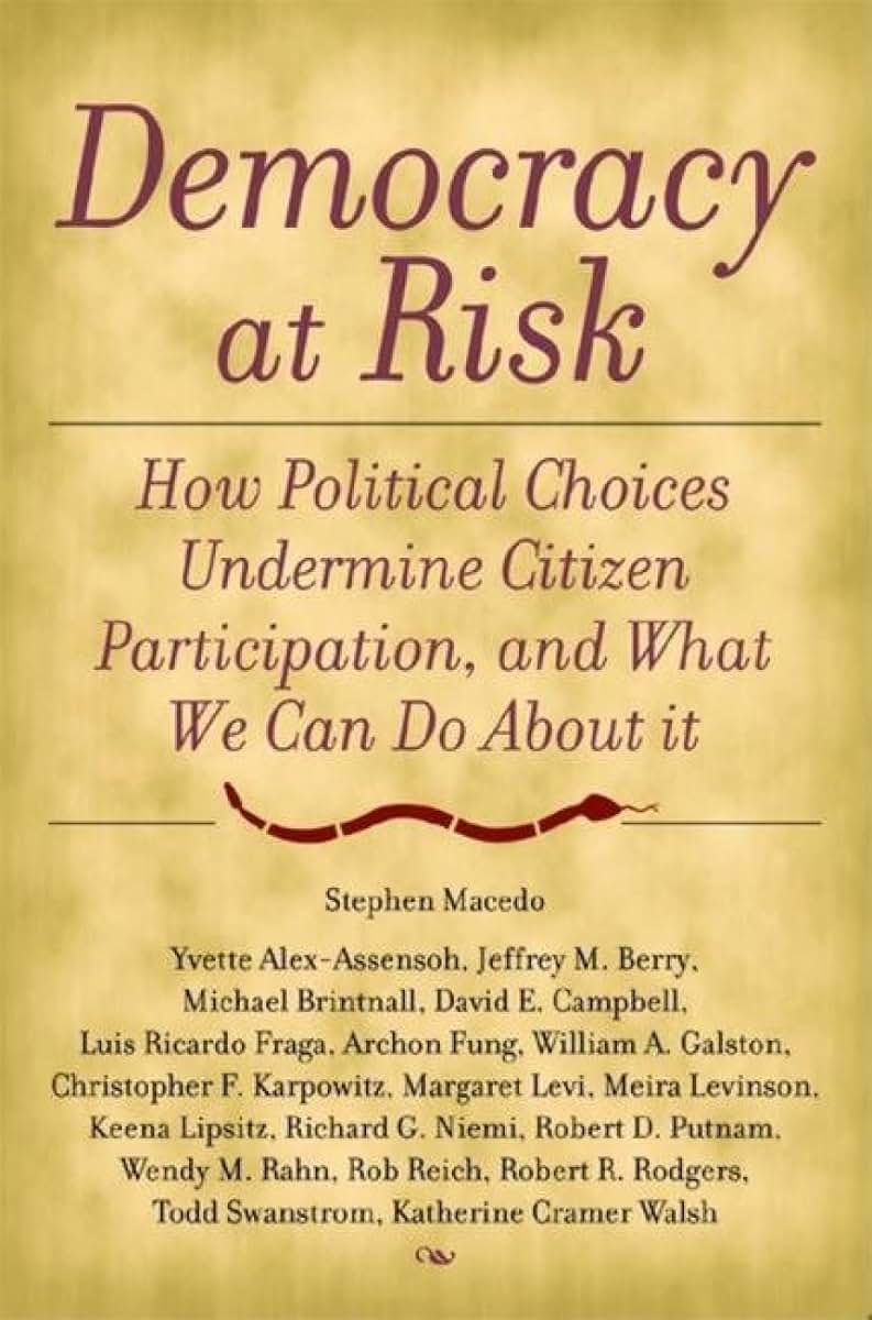 Democracy at Risk: How Political Choices Undermine Citizen Participation, and What We Can Do About It