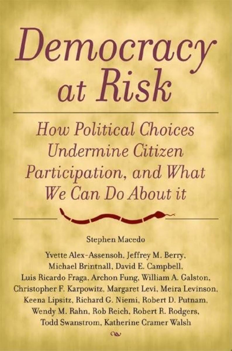 Democracy at Risk: How Political Choices Undermine Citizen Participation, and What We Can Do About It