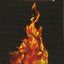 Chronicles Of Ixia 6 Book Set: Poison Study / Magic Study / Fire Study / Shadow Study / Night Study / Dawn Study