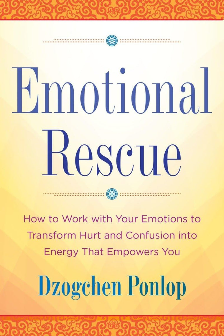 Emotional Rescue: How to Work with Your Emotions to Transfor