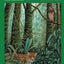 Costa Rica Wildlife Guide (Laminated Foldout Pocket Field Guide)