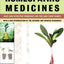 Everybody's Guide to Homeopathic Medicines