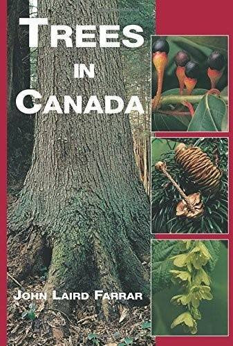 Trees In Canada