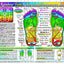 SET 4 CHARTS: REFLEXOLOGY-FOOT & HAND, CHAKRAS, & IRIDOLOGY (EYE Reflexology). in Inner Light Resources RAINBOW Charts Series. 8.5 x 11 in. (Small Poster/ Large Cards)