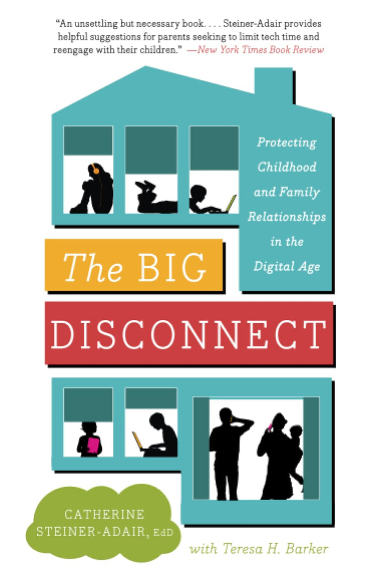 BIG DISCONNECT