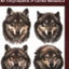 Dog Language: An Encyclopedia of Canine Behavior by Abrantes