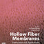 Hollow Fiber Membranes: Fabrication and Applications