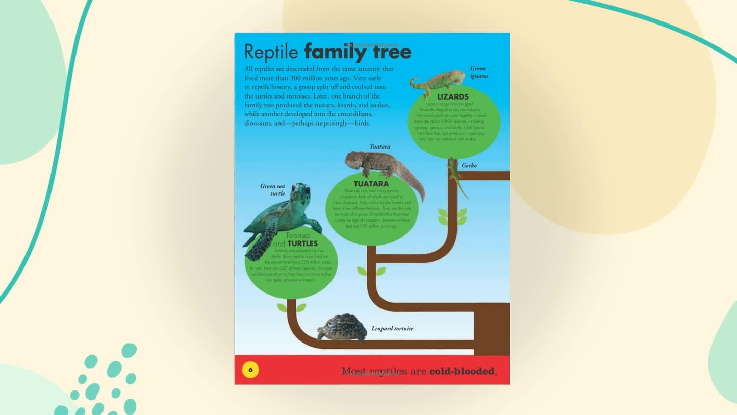 Everything You Need to Know About Snakes by DK