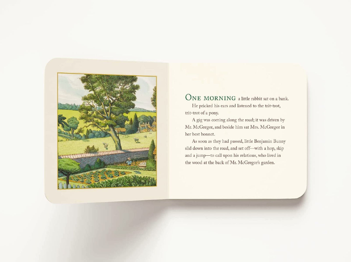 The Peter Rabbit Classic Collection (The Revised Edition): A Board Book Box Set Including Peter Rabbit, Jeremy Fisher, Benjamin Bunny, Two Bad Mice, and Flopsy Bunnies