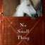 No Small Thing