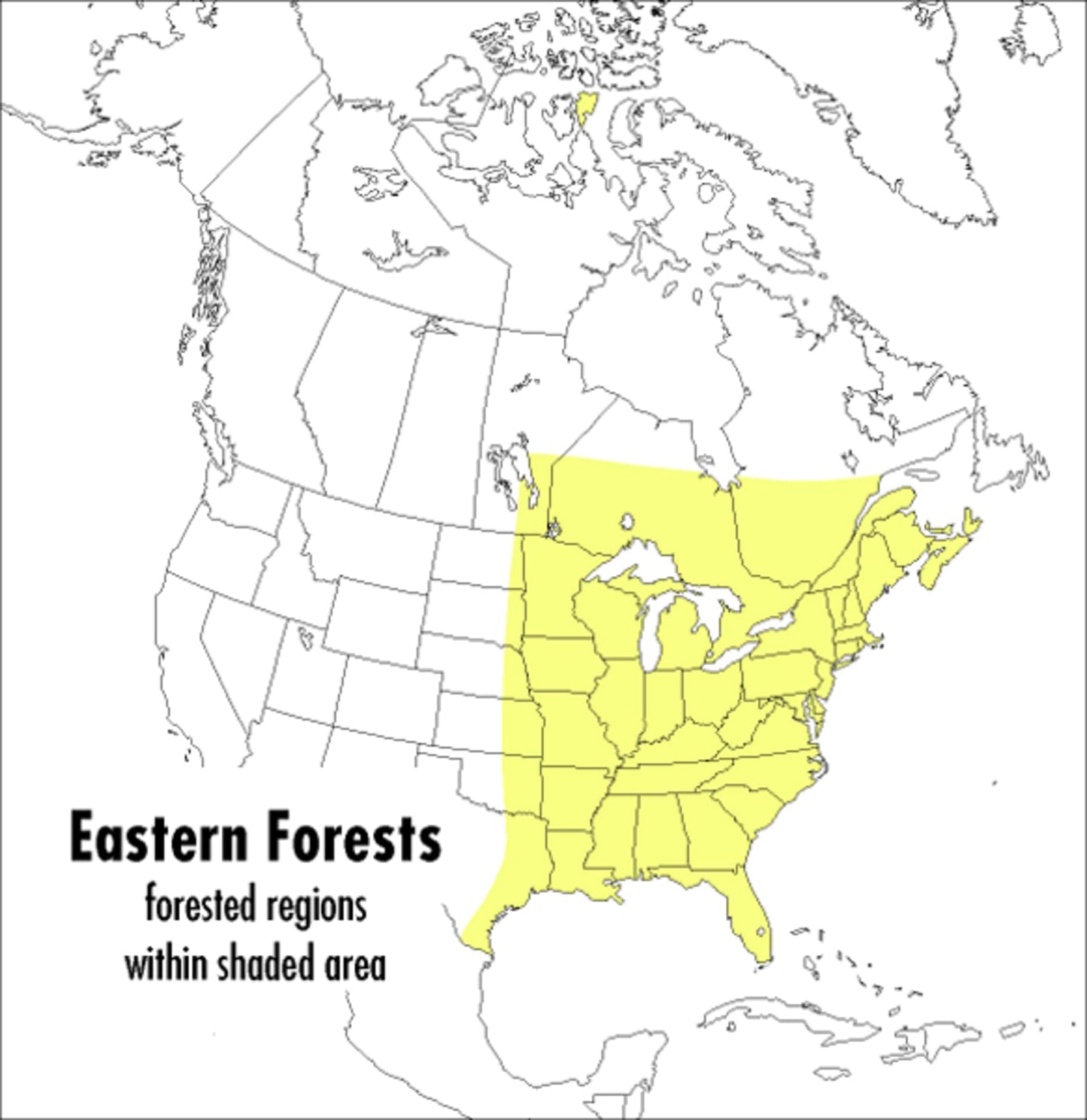 A Peterson Field Guide To Eastern Forests: North America (Pe