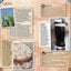 The Beans & Grains Bible