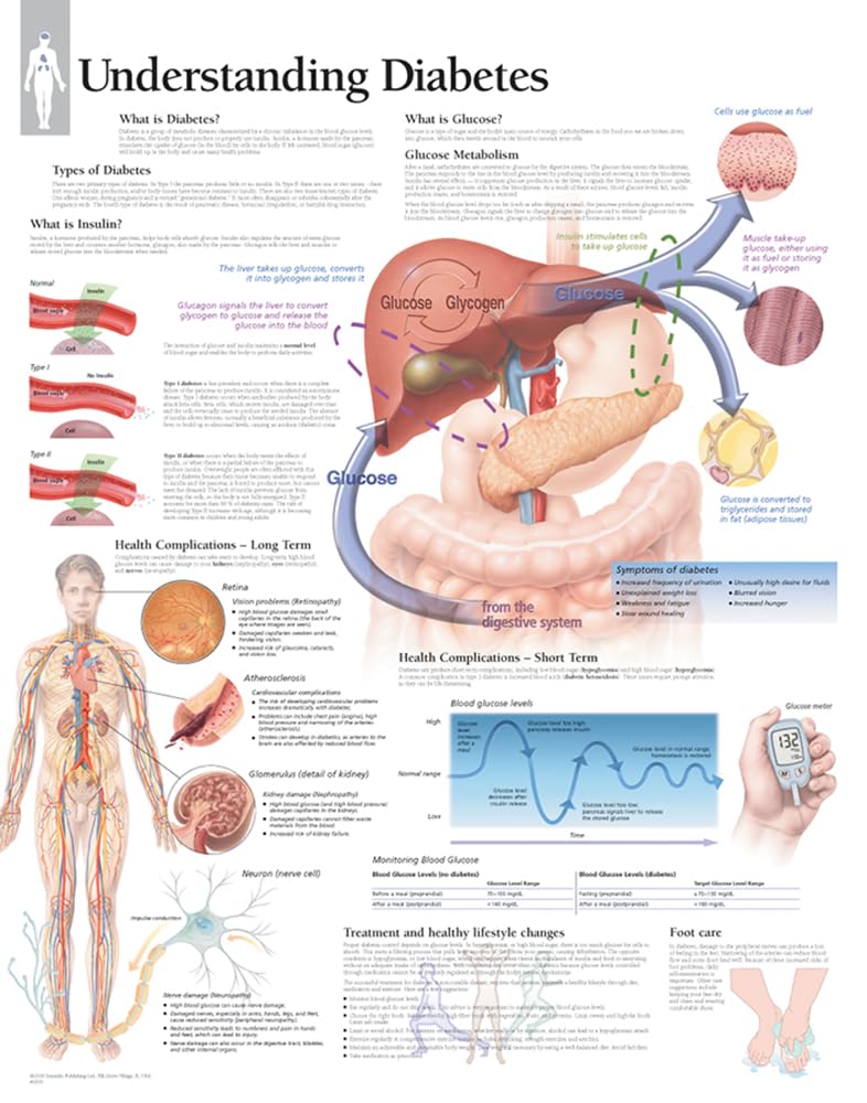The Illustrated Portfolio of Human Anatomy and Pathology
