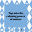Pocket Nature Series: Cloud Spotting: Observe the Clouds to