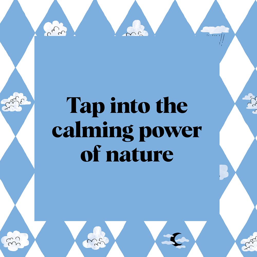 Pocket Nature Series: Cloud Spotting: Observe the Clouds to