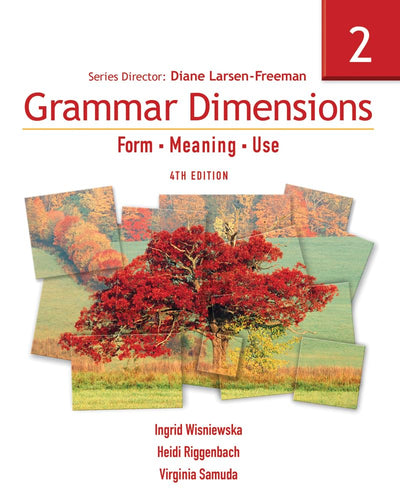 Grammar Dimensions 2: Form, Meaning, Use (Grammar Dimensions: Form, Meaning, Use)