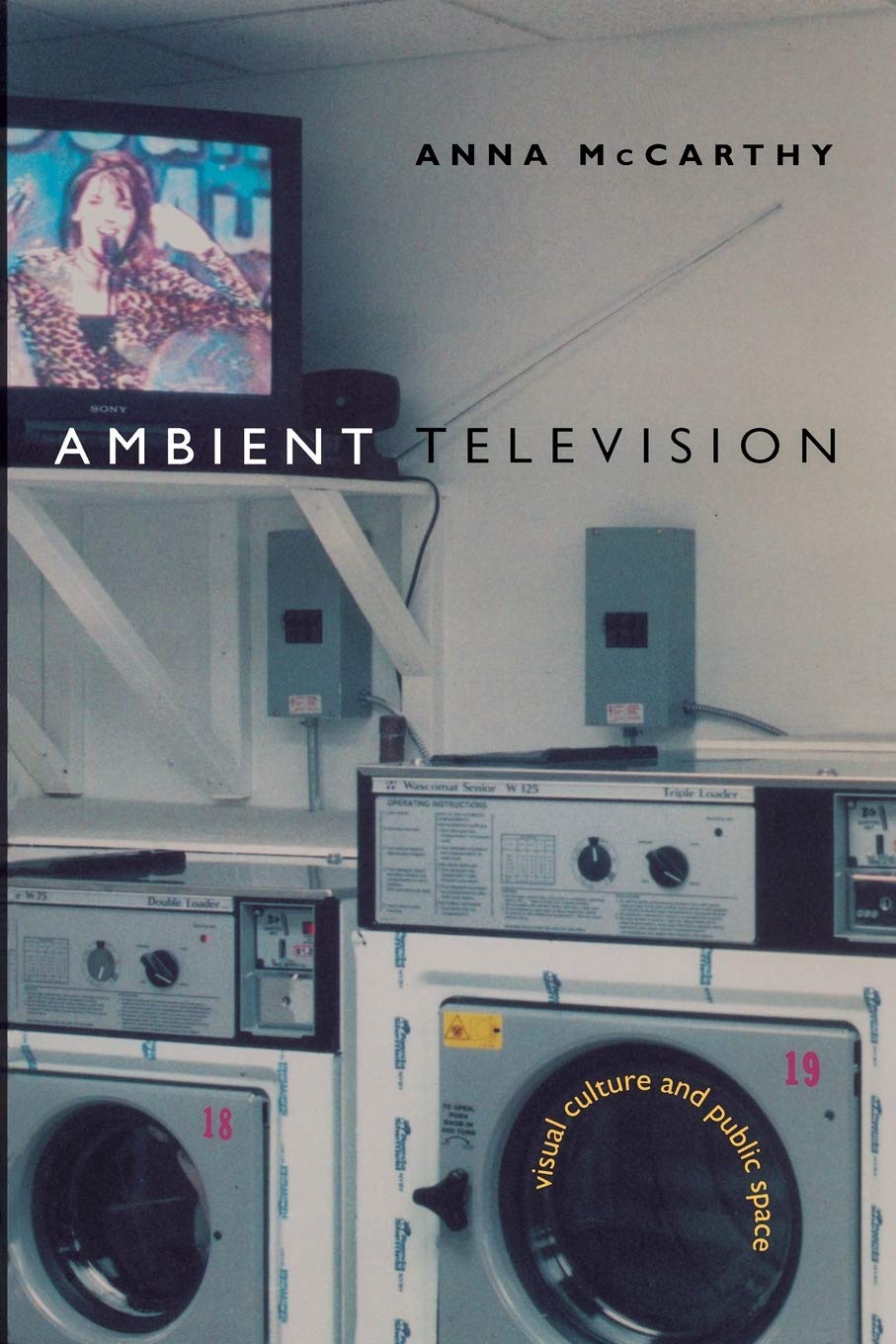 Ambient Television: Visual Culture and Public Space (Console-ing Passions)