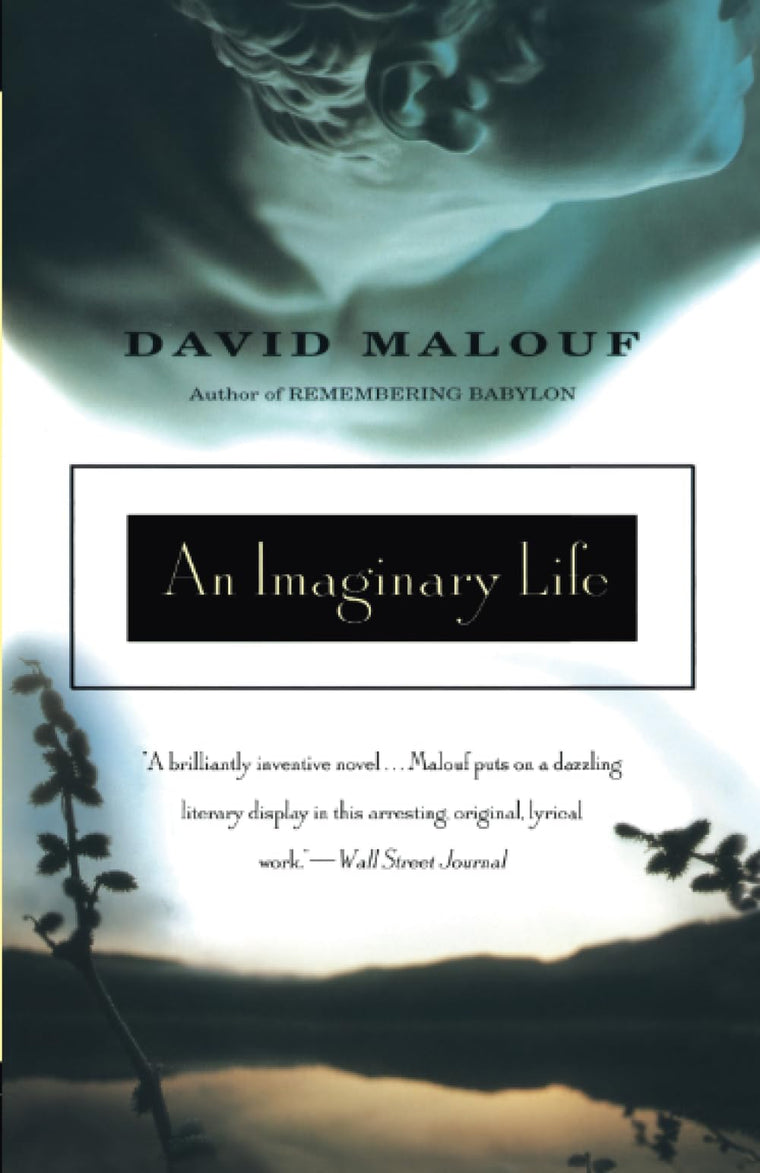 An Imaginary Life