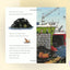 The Snail and the Whale by Julia Donaldson