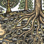 We Are Branches