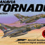 Panavia Tornado in Action - Aircraft No. 111