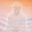 Beyond the Breath: Extraordinary Mindfulness through Whole Body Vipassana Yoga Meditation