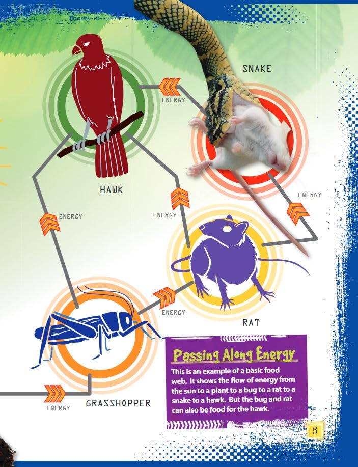 Food Webs (Science Readers: Content and Literacy)