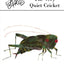 The Very Quiet Cricket (Penguin Young Readers, Level 3) by C