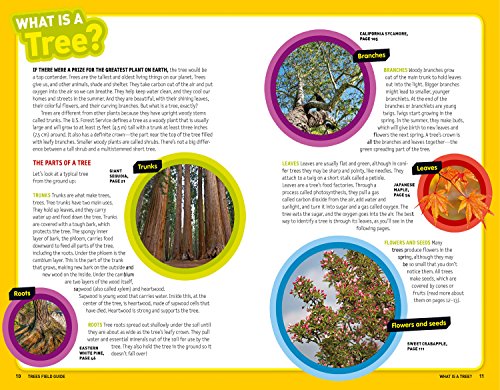 Ultimate Explorer Field Guide: Trees
