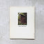 Handmade Houses: A Guide to the Woodbutcher's Art by Art Boe
