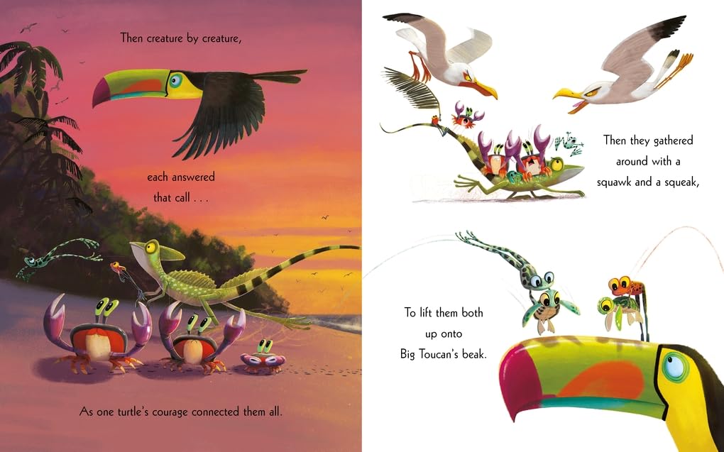 The Turtle Who Turned the Tide: From The World of Rachel Bright & Jim Field