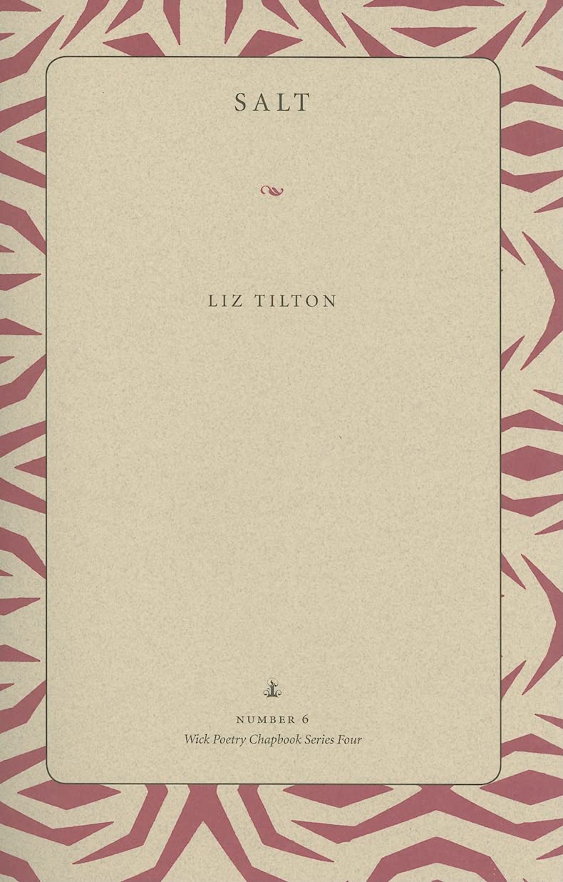 Salt (Wick Chapbook Series 4)