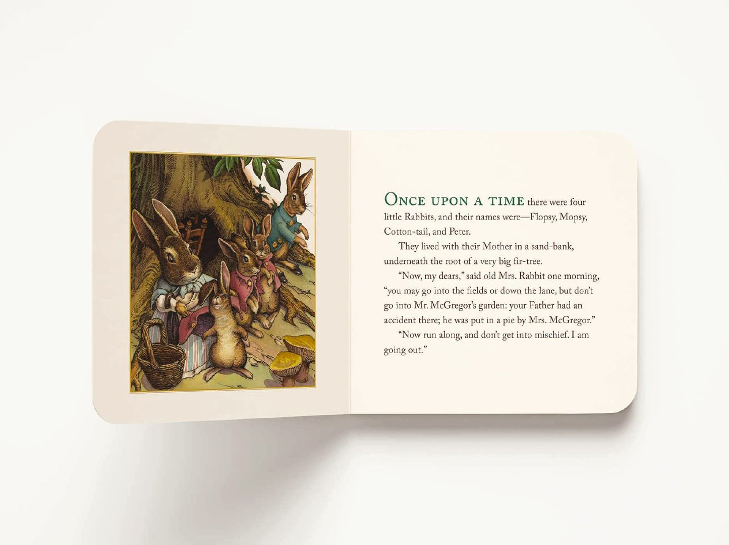 The Peter Rabbit Classic Collection (The Revised Edition): A Board Book Box Set Including Peter Rabbit, Jeremy Fisher, Benjamin Bunny, Two Bad Mice, and Flopsy Bunnies