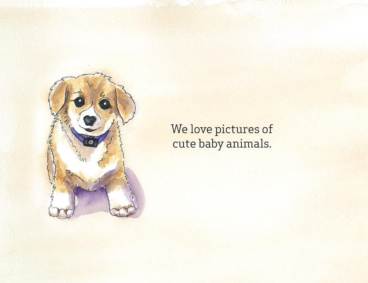 Good Pictures Bad Pictures Jr.: A Simple Plan to Protect Young Minds