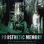 Prosthetic Memory: The Transformation of American Remembrance in the Age of Mass Culture