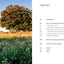 The Kindest Garden: A Practical Guide to Regenerative Gardening