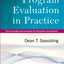 Program Evaluation in Practice: Core Concepts and Examples for Discussion and Analysis