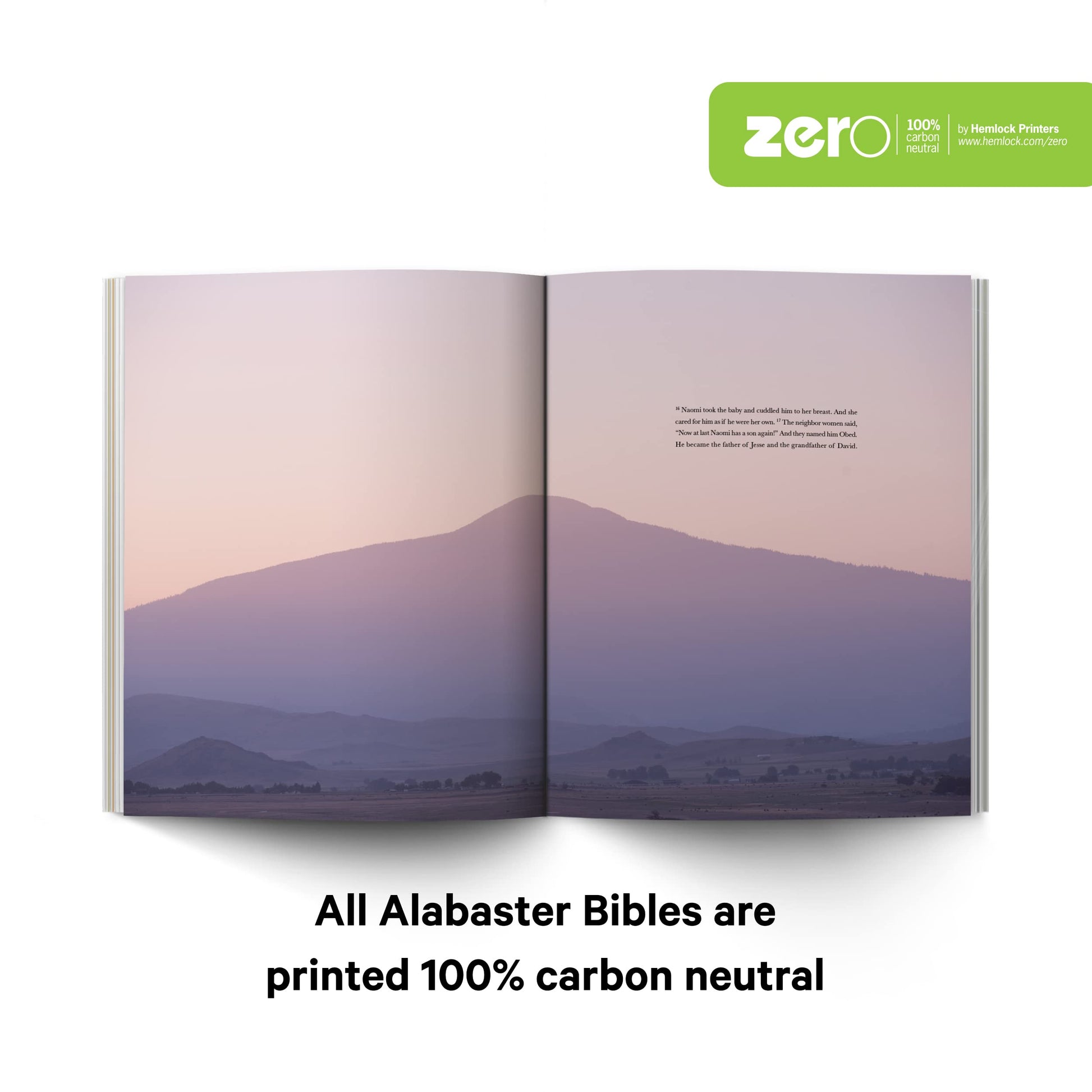 Book of Ruth - Alabaster Bible