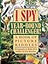 I Spy Year Round Challenger: A Book of Picture Riddles