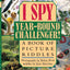 I Spy Year Round Challenger: A Book of Picture Riddles