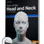 Form of the Head and Neck